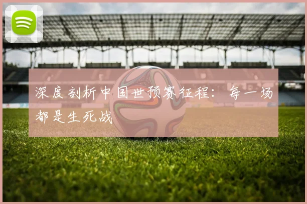 深度剖析中国世预赛征程：每一场都是生死战