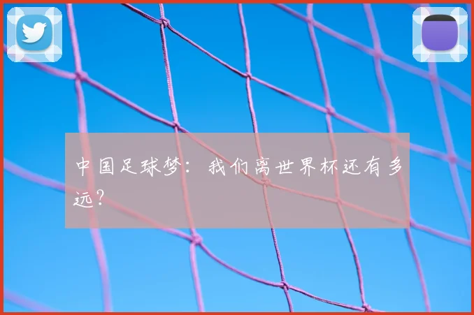 中国足球梦：我们离世界杯还有多远？