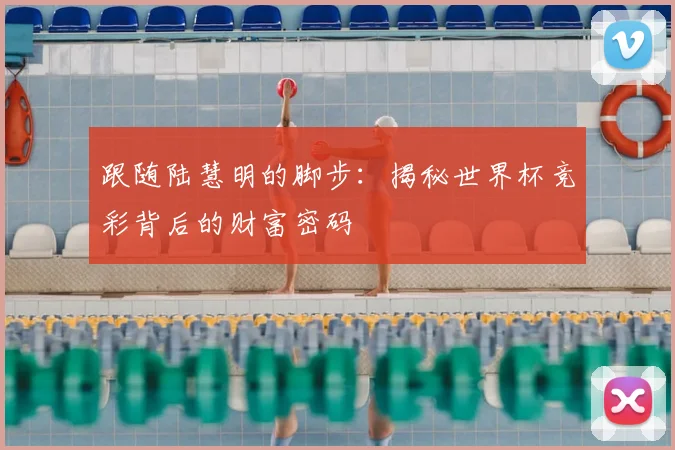 跟随陆慧明的脚步：揭秘世界杯竞彩背后的财富密码