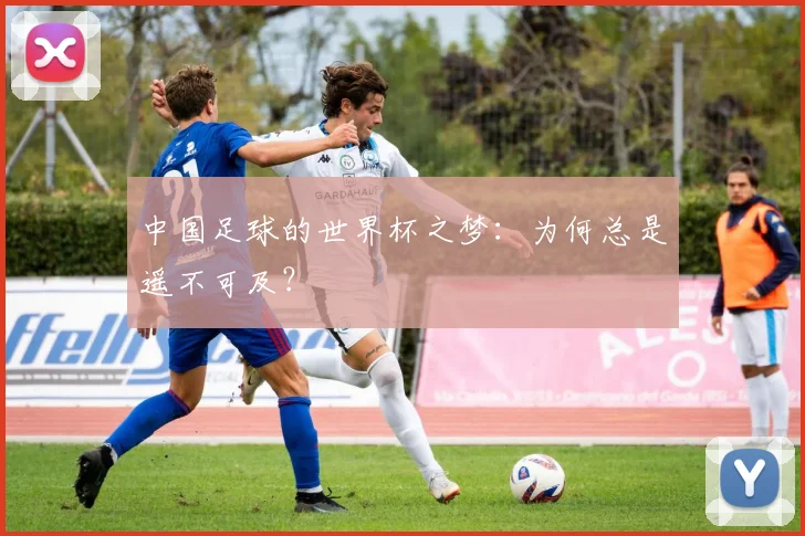 中国足球的世界杯之梦：为何总是遥不可及？