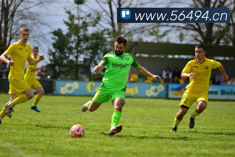 开云官方手机登录入口APP 封面图